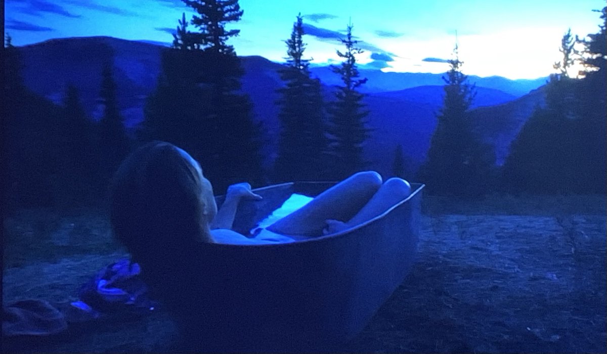 Jane Stevenson tweet media