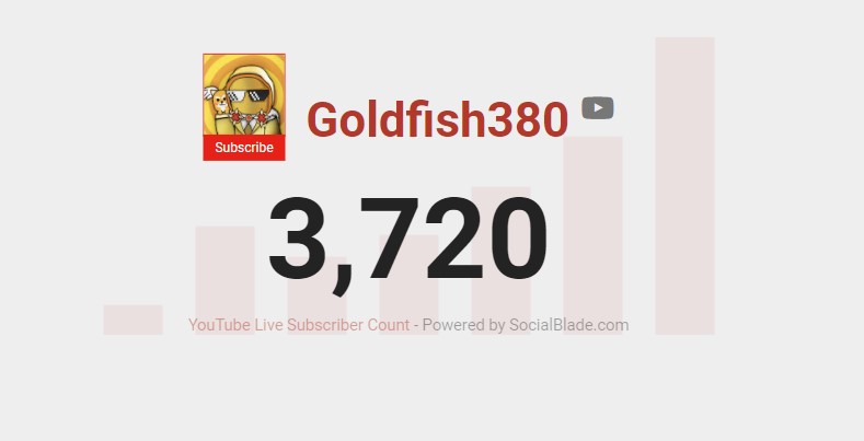 goldfish380's tweet photo. The #FISHSQUAD hit 3.7k subscribers for the month of February! Lets keep at it, March here we come!

#ROADTO4k https://t.co/t1MqBPozKX