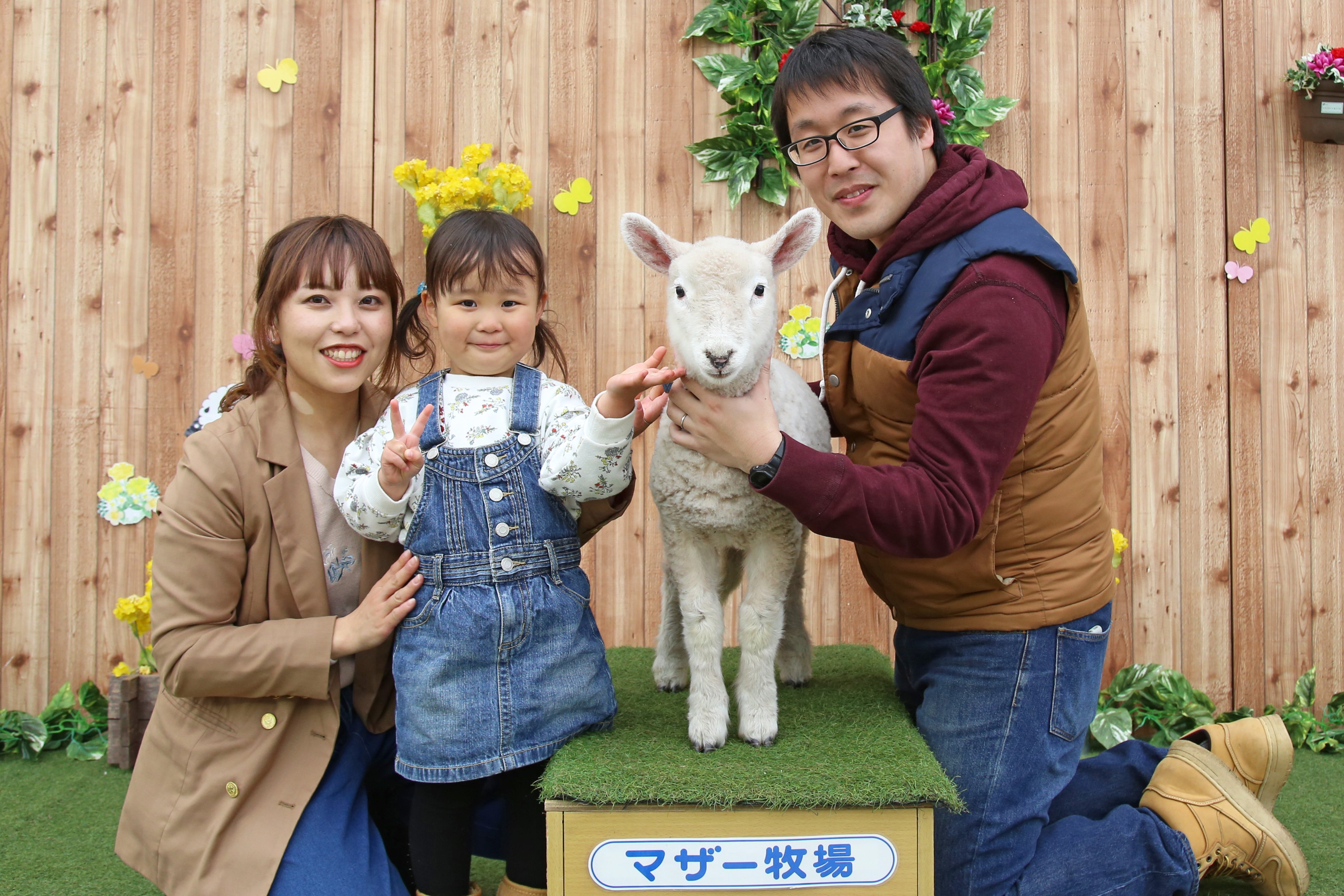 マザー牧場 赤ちゃん羊のふわふわな毛にふれるチャンス 赤ちゃん羊 と記念撮影ができる 赤ちゃん羊ふれあい写真館 が明日 3 8 からスタート 春のマザー牧場の思い出に 素敵な一枚を 赤ちゃん羊ふれあい写真館 の詳細はこちら T