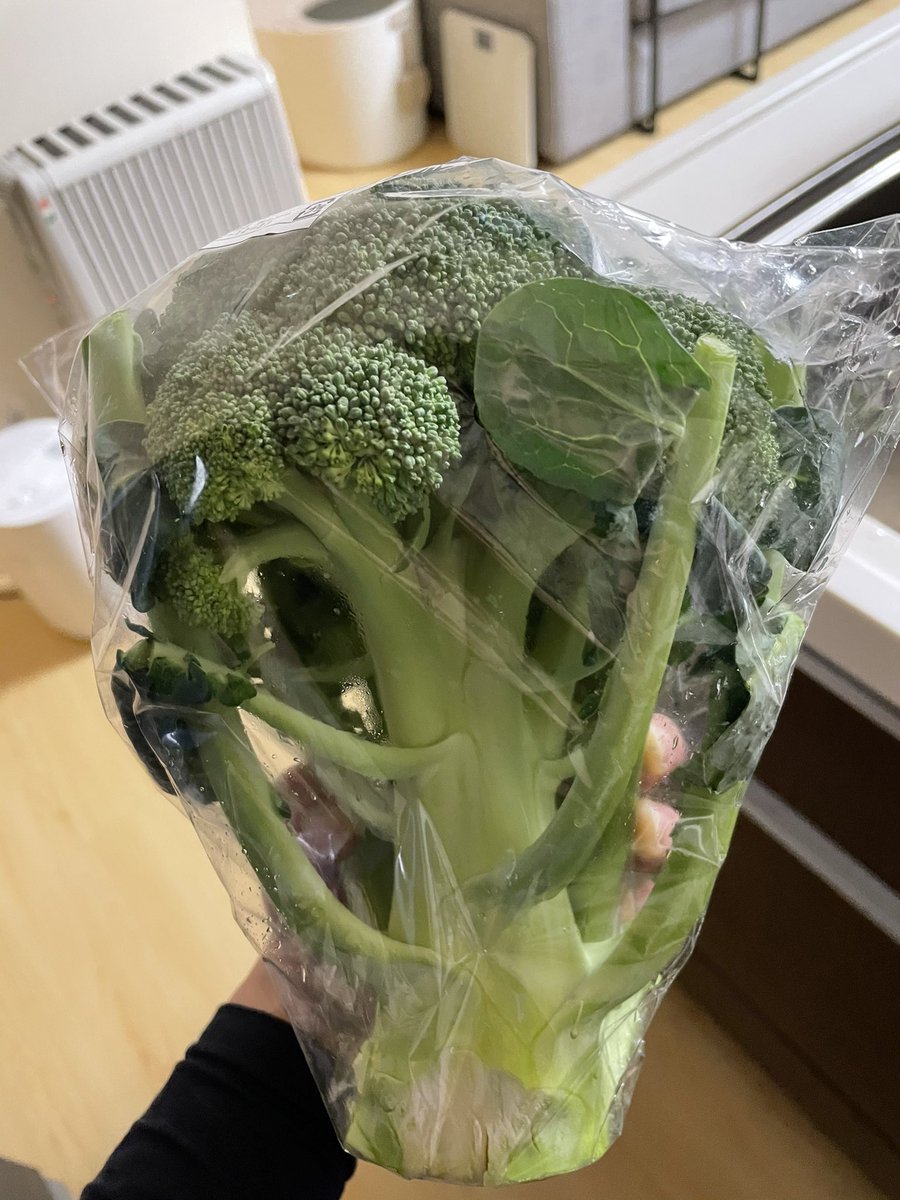 Kana على تويتر こんな大きさのブロッコリー初めて見たわー 花束かな 笑 ブロッコリー好きとしてはありがたいサイズよ
