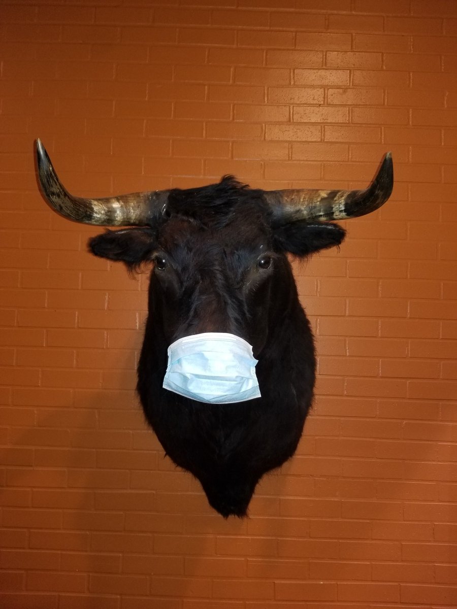 TheVoiceOfBrick's tweet photo. It's No Bull......... #nobull #commonsense  #mask #maskup #animalsense #governorabbott #riptexas  #nobullshit  #protectyourself https://t.co/tQ397SLRXi