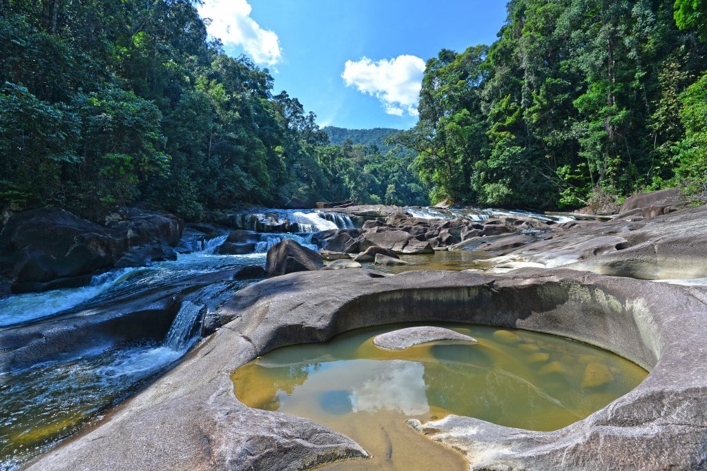 We're visiting Endau-Rompin National Park in the state of Pahang in Malaysia this evening. It's approximately 340 square miles & is the second largest national park in Peninsular Malaysia (also known as West Malaysia). It's name comes from the 2 rivers that run through the park.