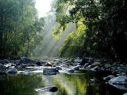 We're visiting Endau-Rompin National Park in the state of Pahang in Malaysia this evening. It's approximately 340 square miles & is the second largest national park in Peninsular Malaysia (also known as West Malaysia). It's name comes from the 2 rivers that run through the park.