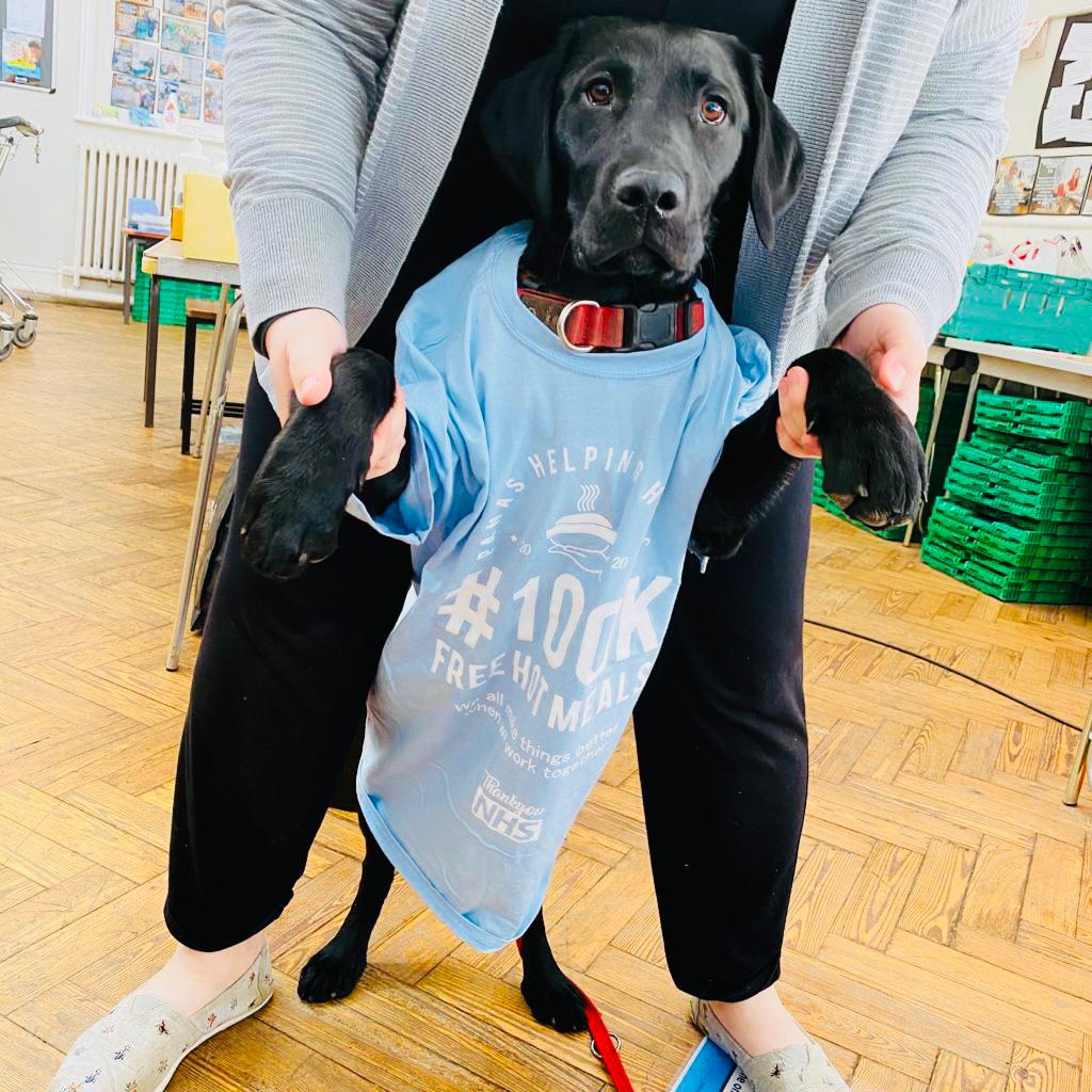 Love_SE4's tweet photo. Dukey from @lewishamfood modeling the great t-shirts from @PanasGurkha just one of the many deliveries yesterday to so many deserving people. Not long to go now before hitting #100thousand hot delicious meals. 💙💙💙💙💙💙💙💙💙💙💙 #communitychampions https://t.co/hAAr8VfSLx
