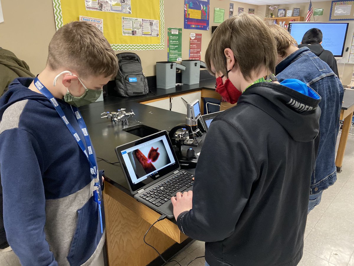 MeredithScience's tweet photo. Today, my #7thgradescience students viewed multiple specimens under a digital microscope. They were able to upload videos and images to their laptops to help them with their lap report. #bmsisbest @BMS_WSISD @wsisdschools https://t.co/8etvDigq84