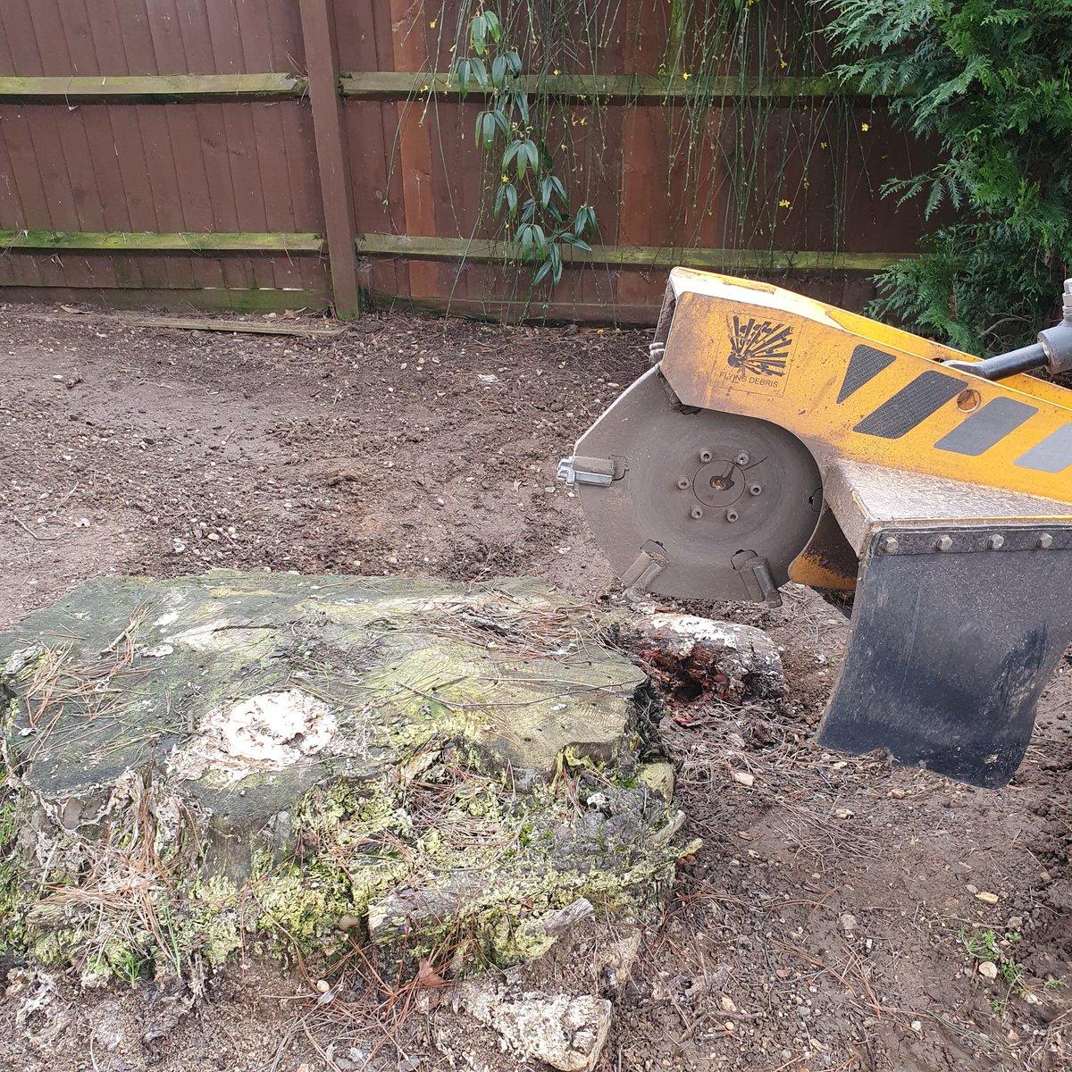 TreeGrinding's tweet photo. Tree stump grinding at Black Notley, near Braintree, Essex. The tree stump was a large Cedar tree stump approx 4 foot in diameter. #treestumpgrinding #treerootremoval #BlackNotley #Essex #Cedartree https://t.co/AWZ2TEXkqT