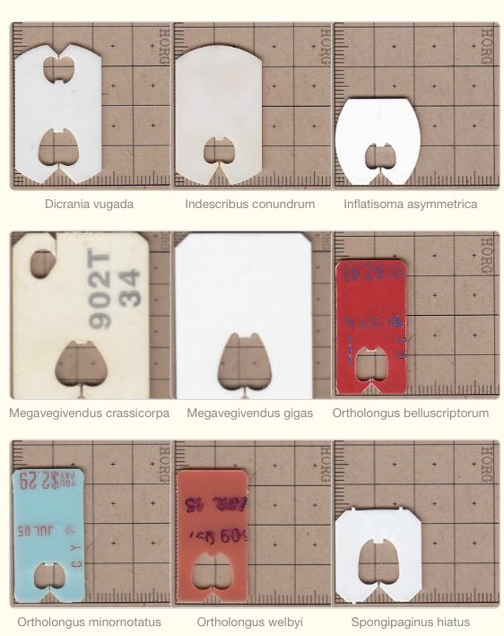 The internet’s premiere database &amp; taxonomy of bread tags.

horg.com/horg/