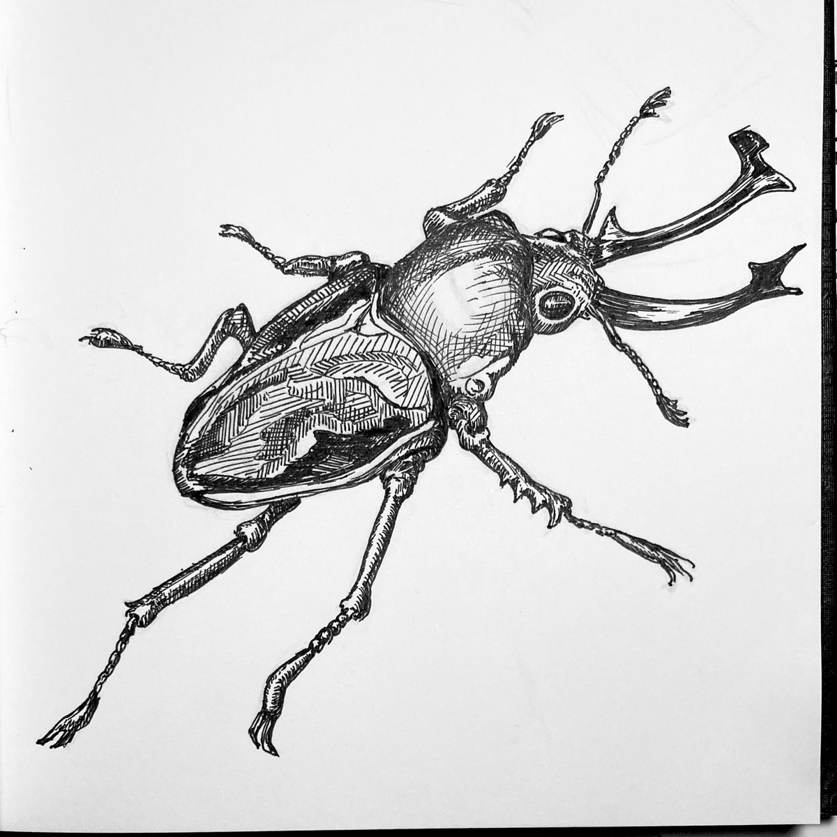 fredmbarros's tweet photo. @Neptzys Only now I’m starting to post my art on Twitter. https://t.co/oVl3yi4vfE