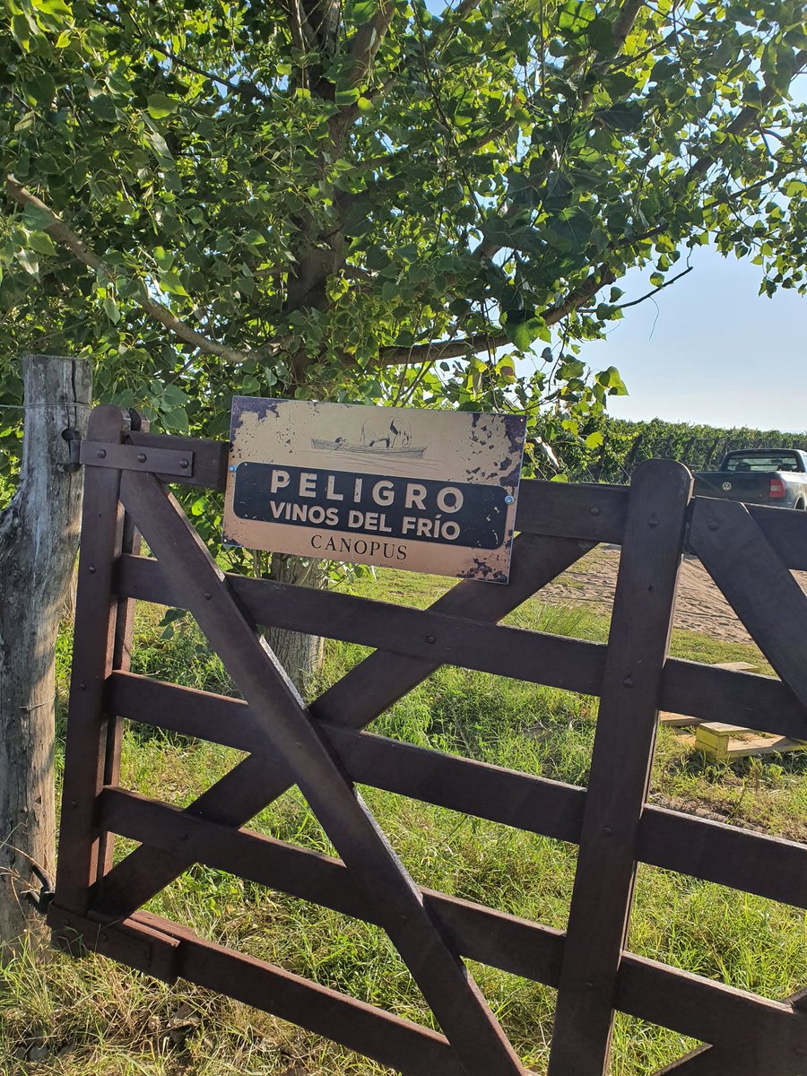 Juan Dvoskin tweet media