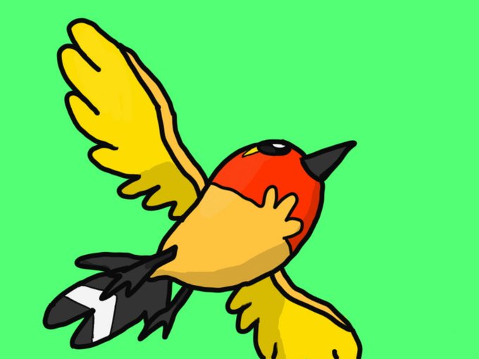 色違いヤヤコマのtwitterイラスト検索結果 色違いヤヤコマのtwitterイラスト検索結果