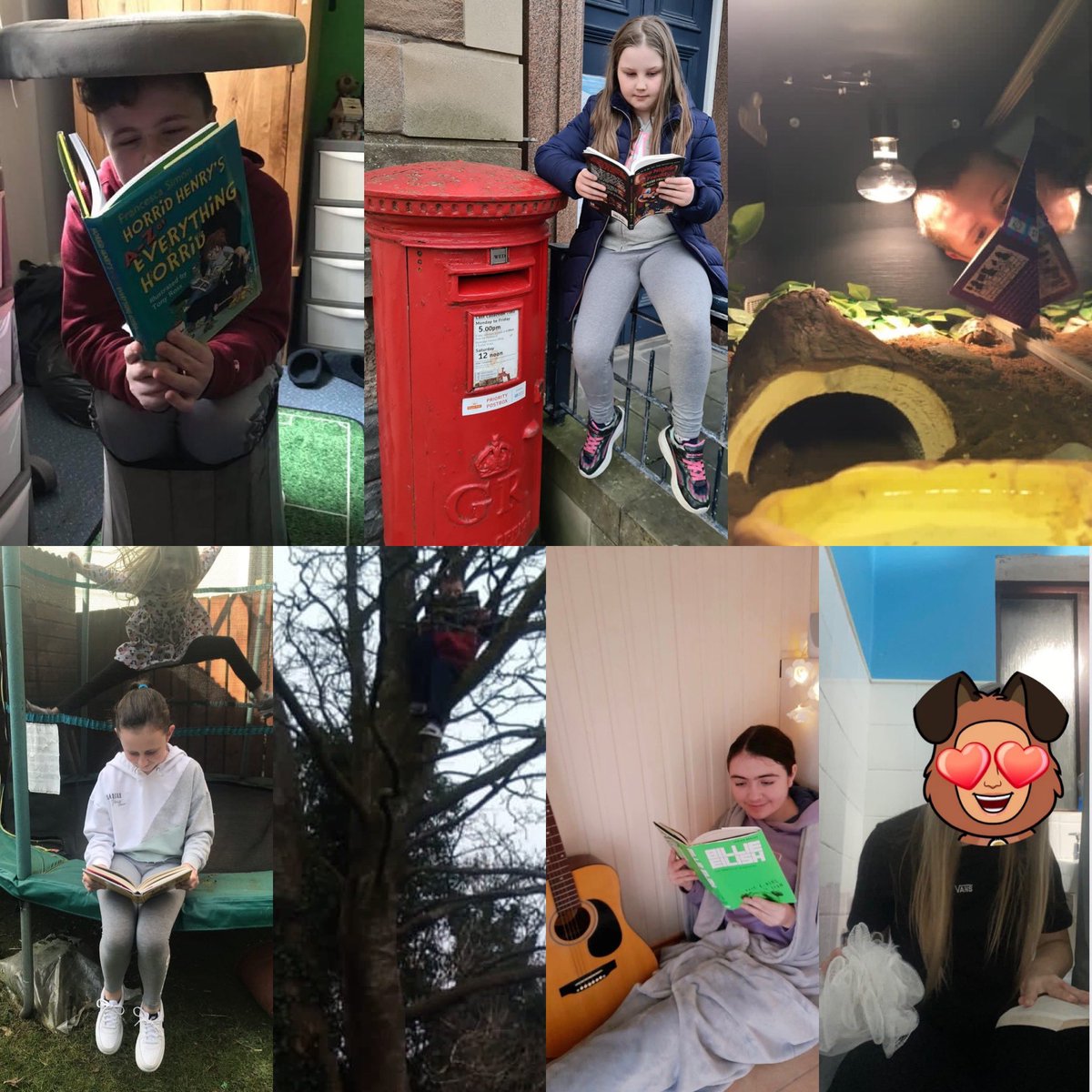 St. Patrick's English tweet media