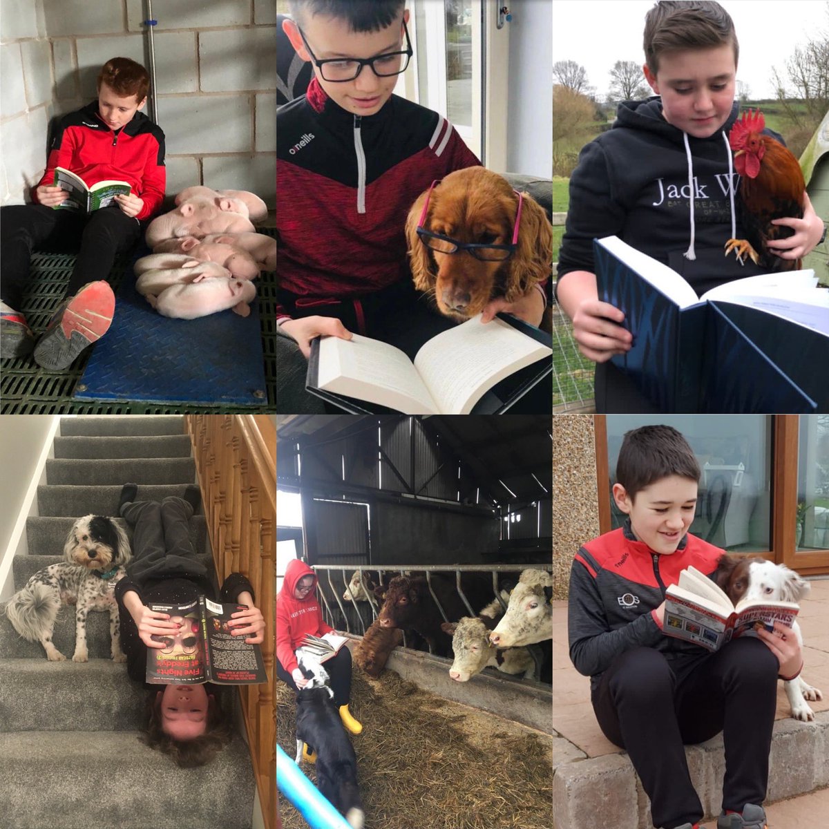 St. Patrick's English tweet media