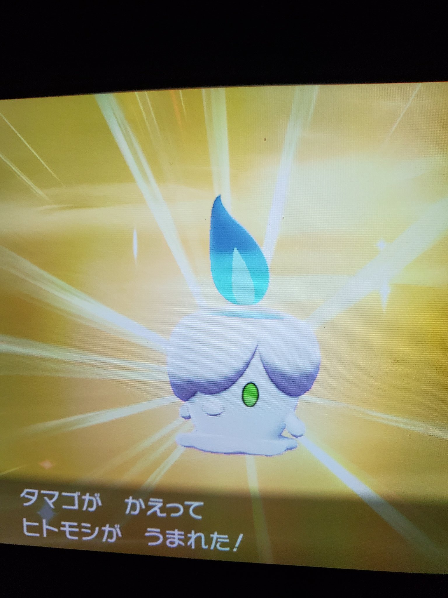 ゆーと やっとやっとー ヒトモシ色違いでたーよー ポケモン剣盾 色違い ポケモン好きさんと繋がりたい T Co Pn2w8blg8b Twitter
