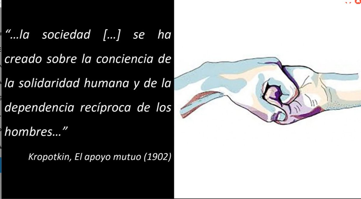 pirafol3's tweet image. En #INNOVAPROFES @pacocanom presentando #ANPROFOL.