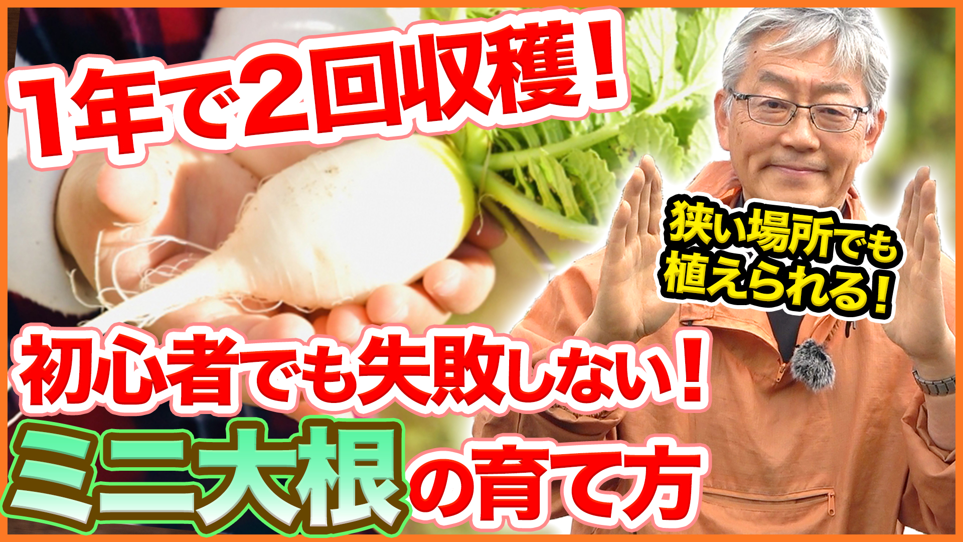 シェア畑 サポート付き貸し農園 今回は３月種まきオススメ野菜 ミニ大根の植え方 育て方を解説します なんと１年に２回も収穫可能 狭い場所でも育てられて栽培もとっても簡単なんです T Co 4vjvn8lhms 農園 家庭菜園 ミニ大根 ベランダ
