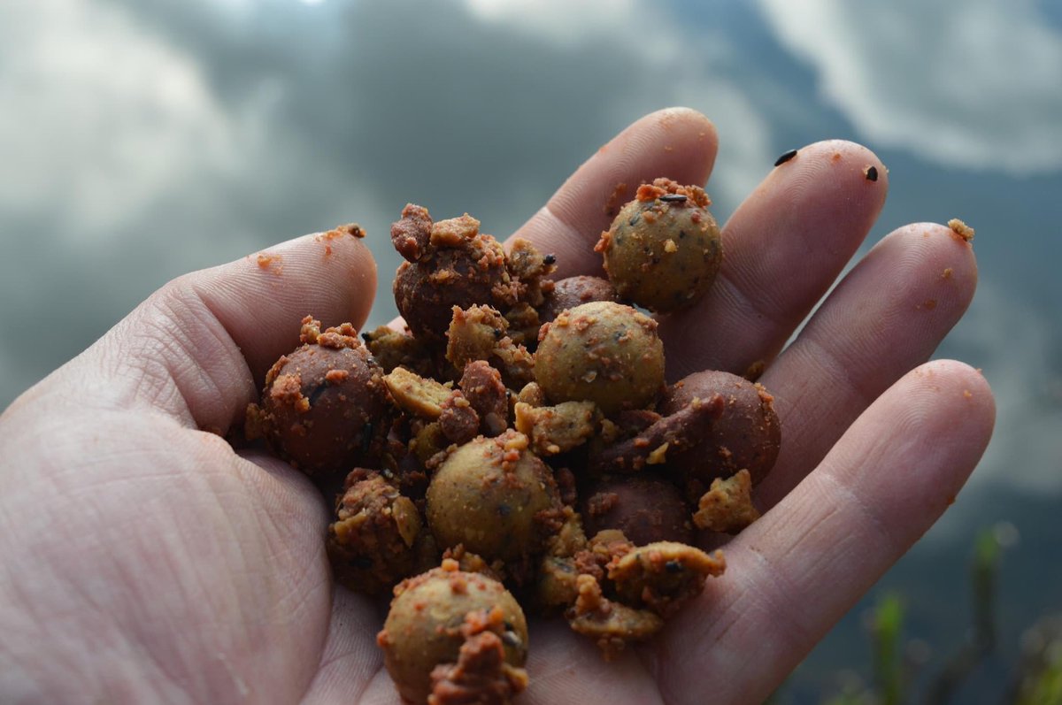 jhbaits's tweet photo. The Banana Scopex is proving to be a firm favourite with the team and the results it’s throwing up are beyond expected...

https://t.co/JZuUWtDKCQ

#JHBaits #nocompromiseonquality #thefuture #HighAttract #bananascopex #karpfenangler #carpfishinglife #carpanglinguk #carp #bigcarp https://t.co/MyV7DX82P7