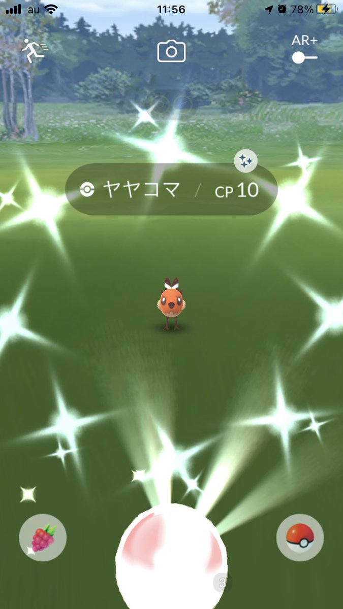 ナイトバレー ヤヤコマの色違いゲットだぜ ファイアローの色違いはほんまに焼き鳥みたいな感じがして好き ちなみにコミュデイあること昨日知った ポケモンgo