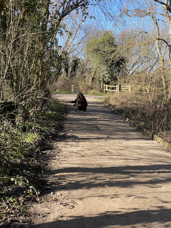 grumpyoldbirder's tweet image. Lockdown Diary – Contrast... - grumpyoldbirder.com/contrast/ [&apos;Subscribing&apos; to Grumpy Old Birder posts is very easy... complete the form on the right of the blog post and click the confirm link which is sent so you won’t miss a post.]