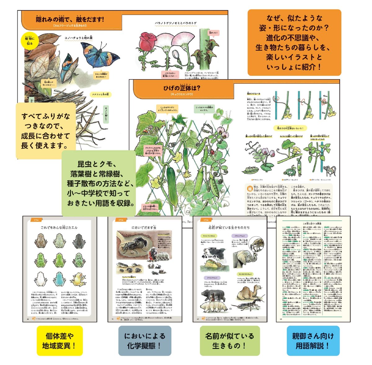 【宣伝】
似ているけれどちがう生きもの図鑑(文一総合出版)
2021年4月14日発売予定
著:宇津木聡史
絵:安斉俊
写真なしで全ページイラスト、頑張ったと思います(-_-;)
よろしくお願いいたします。
https://t.co/g3IpQ6sOjZ
