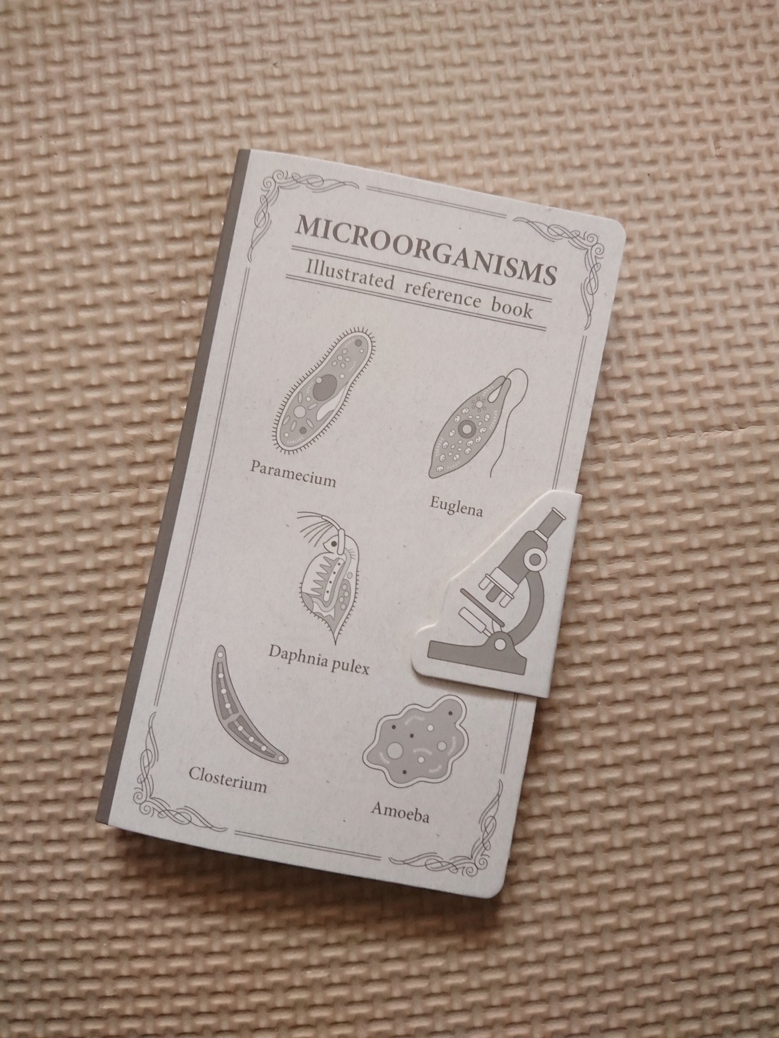 チャビオ キャンドゥ メモ帳 微生物 ミジンコ アメーバ ミカヅキモ ゾウリムシ ミドリムシ キャンドゥで可愛いメモ帳めっけた 顕微鏡がマグネットになってる 好きなやつや