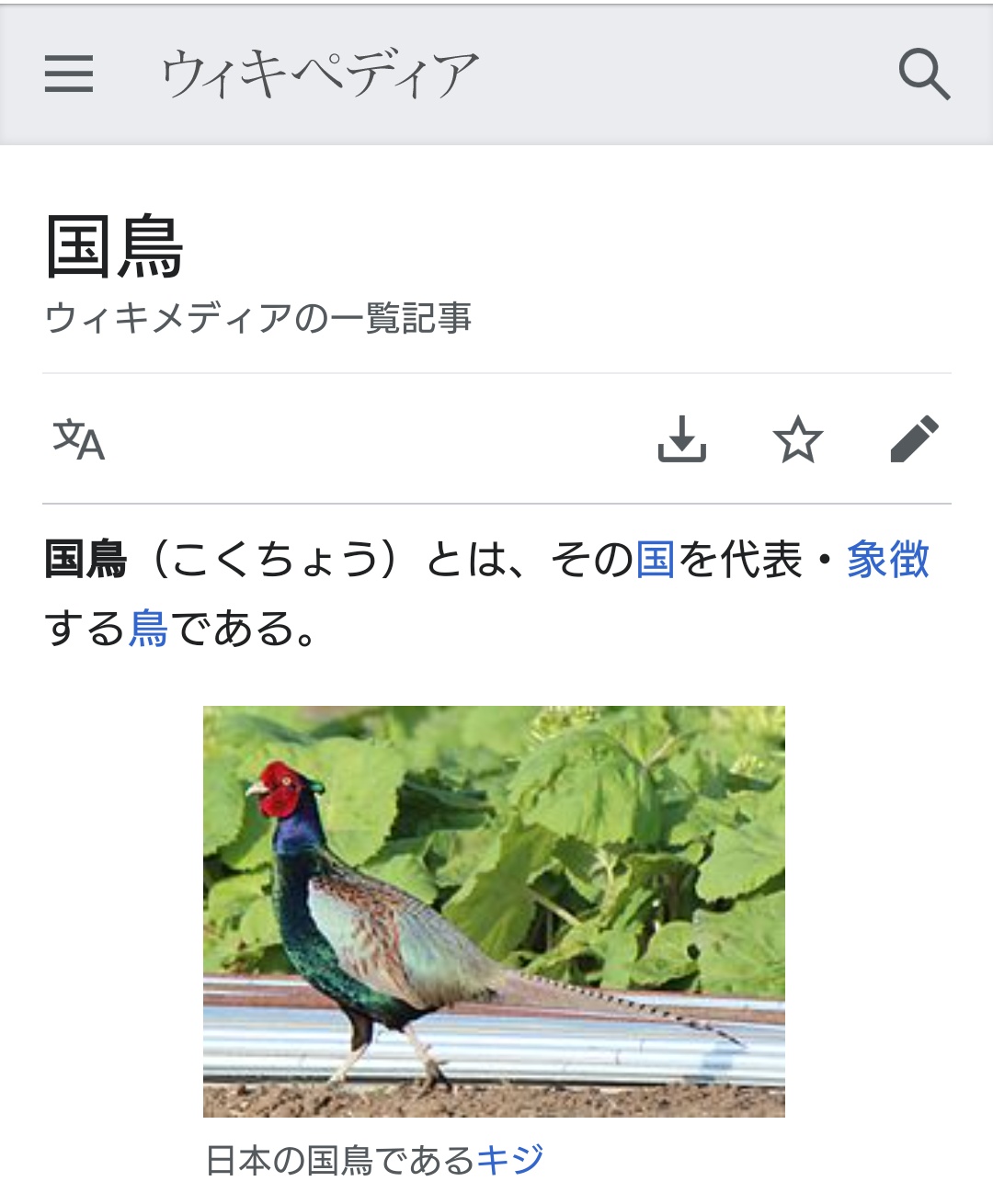 咲珈琳 待て待て待て待て 日本の国鳥ってトキでしょ トキ ニッポニア ニッポン いつから キジになったっ マンデラエフェクト T Co Fvmcjxzprt 咲珈琳 待て待て待て待て 日本の国鳥ってトキでしょ トキ ニッポニア ニッポン いつから キジになったっ マンデラエフェクト T Co Fvmcjxzprt