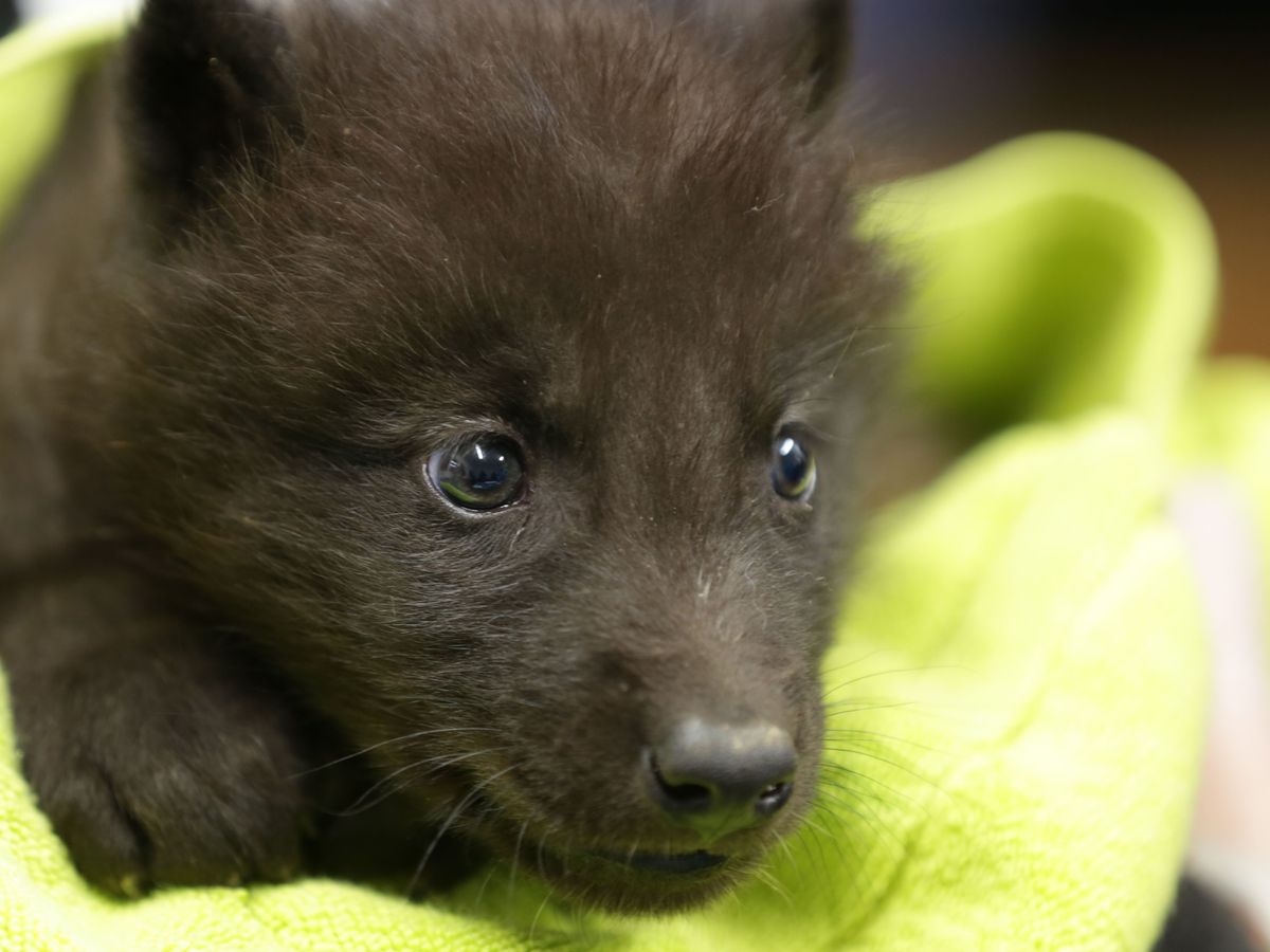 Severine Bonjour Claude Jolie Journee Toute Douce