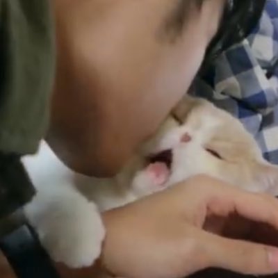 sugarmaker23's tweet photo. หอมแจ้มหน่อย!! https://t.co/dyH71ESIAQ