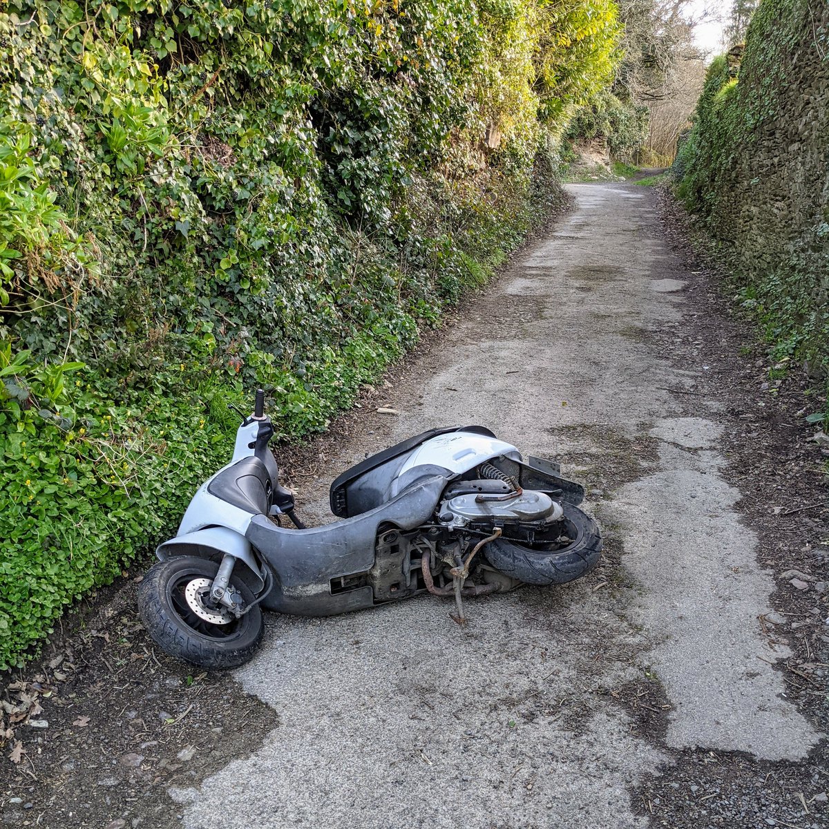 Scooter abandonné sur le chemin devant chez moi ce matin