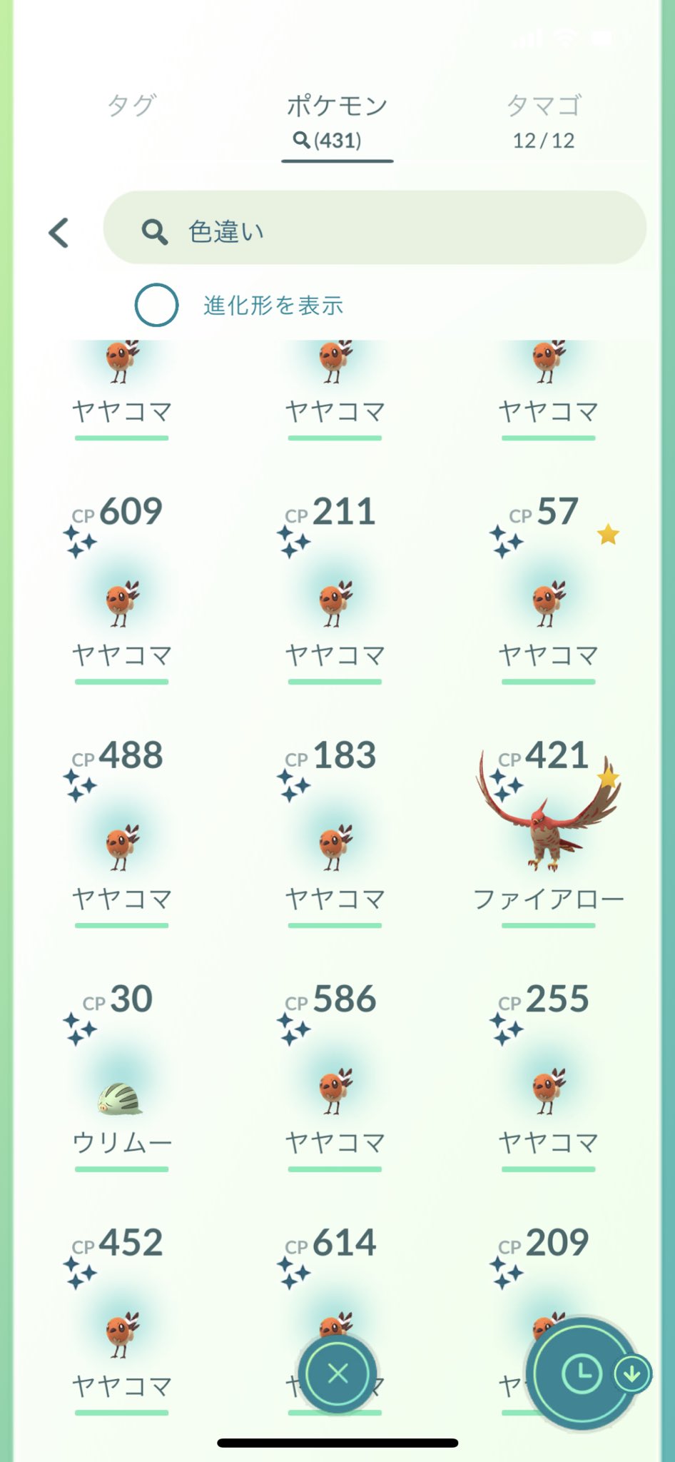 マサto ポケモンgoコミュニティデイ 色違いヤヤコマ24羽とアイスモジュールからウリムー1体でましたー ポケモンgo Pokemongo ポケモンgoコミュニティ Pokemongocommunityday ポケモンgo マサto ポケモンgoコミュニティデイ 色違いヤヤコマ24羽とアイスモジュールからウリムー1体でましたー ポケモンgo Pokemongo ポケモンgoコミュニティ Pokemongocommunityday ポケモンgo
