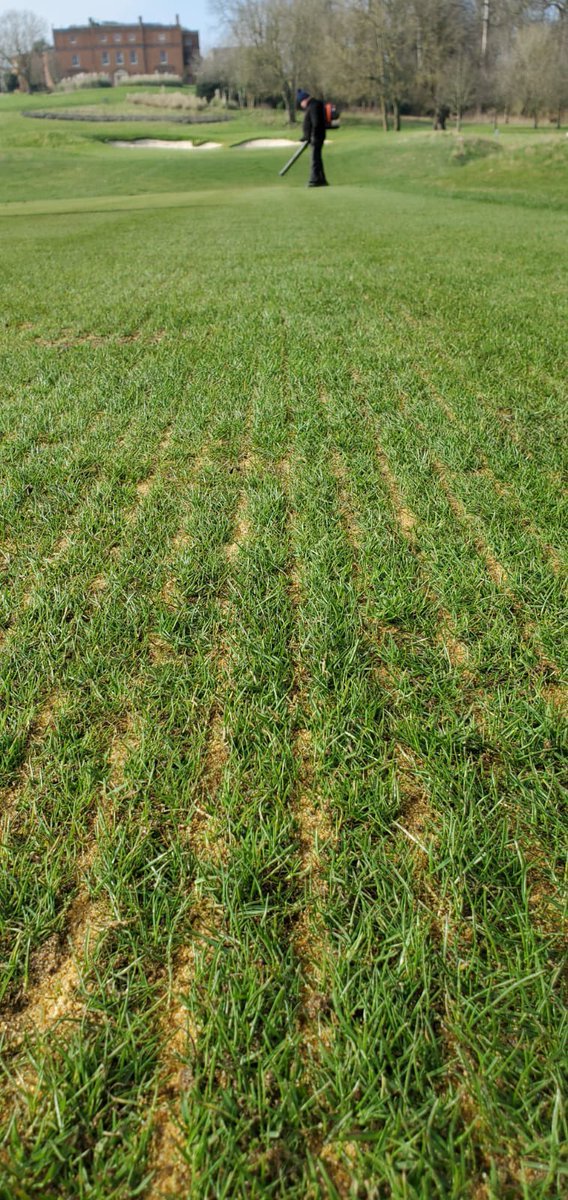 Jonathan Taylor tweet media