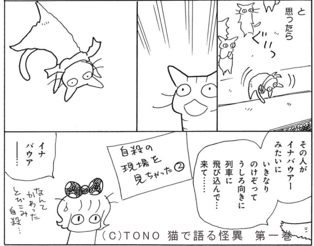 アネザイチカ Al Twitter オカルト業界でも認知度高いから 震え声 T Co Sbr3zi15z3 Twitter