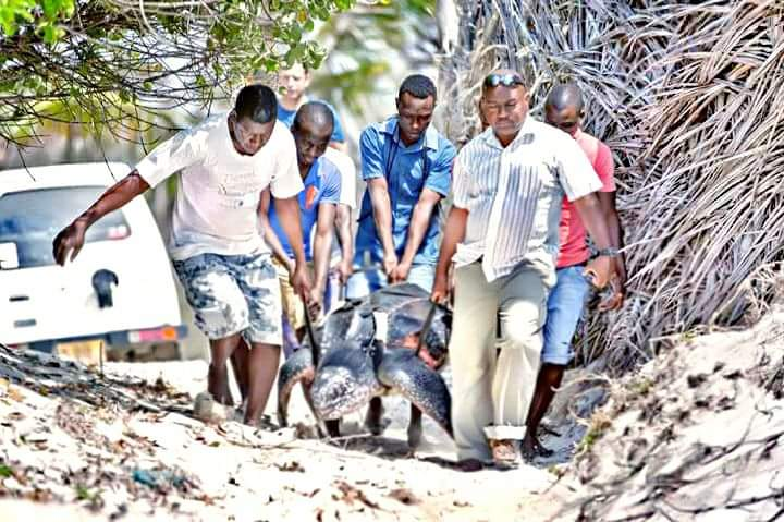 STTAKenya's tweet photo. Inappropriate #tourism development, may harm the environment.
Final question, be the expert 😃,
Q4 – How should tourism in #Africa be designed for environmental protection?
#sttachangemakers
#sustainabletourism
#buildtourismforward https://t.co/478wKywp8k