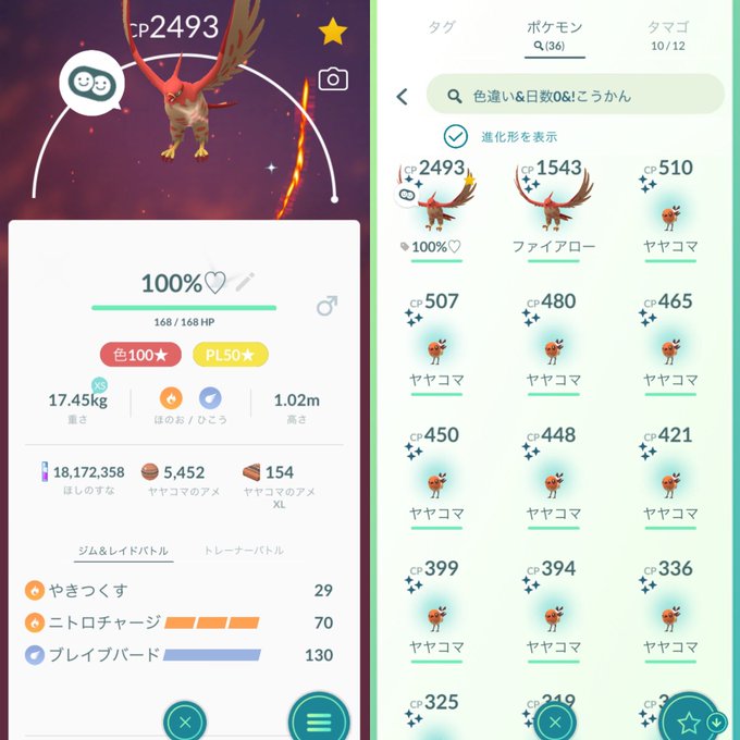 ポケモンgoで ヤヤコマコミュニティデイ が話題に ポケgo トレンディソーシャルゲームス ポケモンgoで ヤヤコマコミュニティデイ が話題に ポケgo トレンディソーシャルゲームス