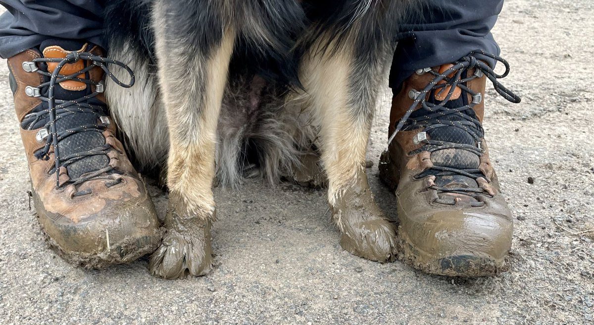 keswickbootco's tweet photo. ✴️ Competition Time ✴️

Anyone fancy some free proofer?...... We have some to give away from UK based @stormcare and we need someone to test them for us 

So Post a picture of your boots that need a good proofing and we will choose a winner on Monday 

Good luck all 👍🥾🧦 https://t.co/D2P7LzyPud