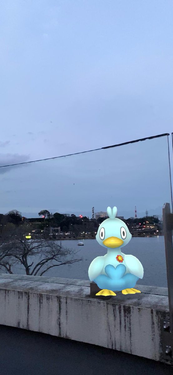 pokechikum's tweet photo. コアちゃんと暗くなってきた湖 https://t.co/rAYyffjkK0