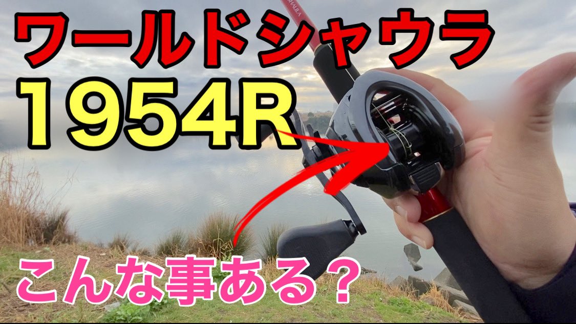 Yo Ko ヨーコ 早く青物釣りたい バオッッ ワールドシャウラ ワールドシャウラ1954r アンタレスdcmd ベイトシーバス ベイトショアジギング T Co Eygm0rhv00 T Co I5fsmzq7e5 Twitter