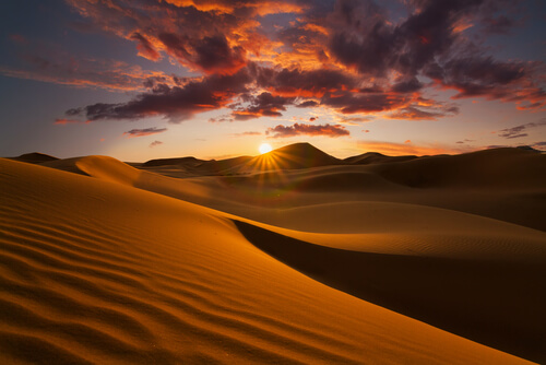 QUAN EL SÀHARA ERA VERD! 💚
Sabies que fa 5.000 anys el Sàhara era un sabana? Què hi ha sota la sorra d’aquest desert?

Acompanya’ns en aquest fil de les #Geofrikades. 🧵