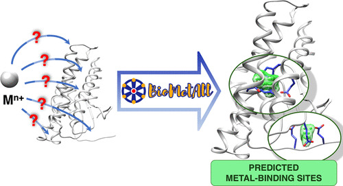 JCIM & JCTC Journals (@jcim_jctc) on Twitter photo #BioMetAll: Identifying Metal-Binding Sites in Proteins from #Backbone Preorganization
pubs.acs.org/doi/10.1021/ac…
<a href="/josan_bcn/">José-Emilio Sánchez-Aparicio</a> <a href="/jeandidiermare1/">Jean-Didier Maréchal</a>
#Issue_1 #vol_61 #Computational_Biochemistry #BioMetAll: Identifying Metal-Binding Sites in Proteins from #Backbone Preorganization
pubs.acs.org/doi/10.1021/ac…
<a href="/josan_bcn/">José-Emilio Sánchez-Aparicio</a> <a href="/jeandidiermare1/">Jean-Didier Maréchal</a>
#Issue_1 #vol_61 #Computational_Biochemistry