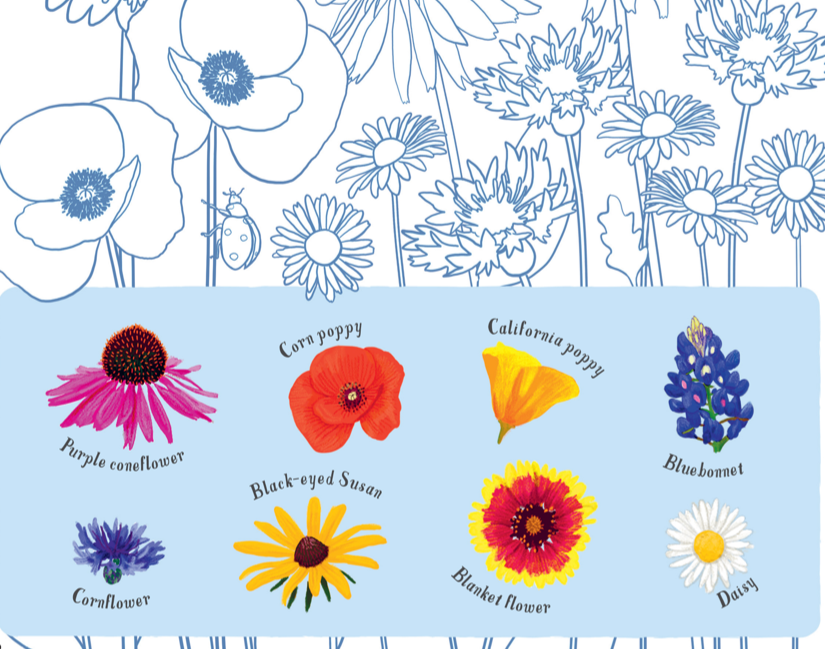 LondonerPetit's tweet photo. Tus fichas para descargar - ¡Ya viene la primavera! 🌸 - https://t.co/onXH9i30YW 
#englishworksheets #actividadesniños  #inglesdivertido #funenglish #fichasparaniños #imprimibles #activitysheets #aprendoinglesconpetitlondoner #inglesenfamilia #inglesencasa #aprenderencasa https://t.co/ezPBYWufZg