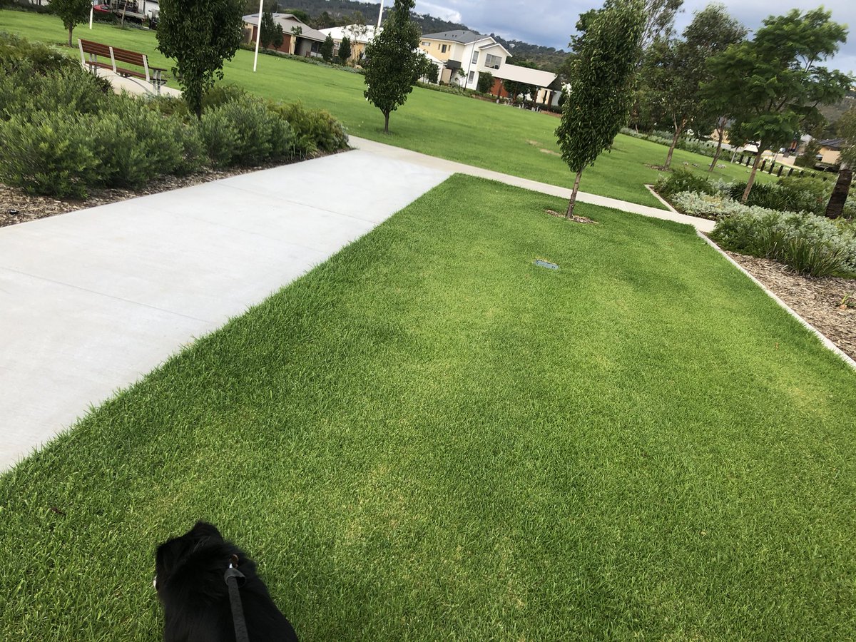 _akieraa's tweet image. Walkin ♿