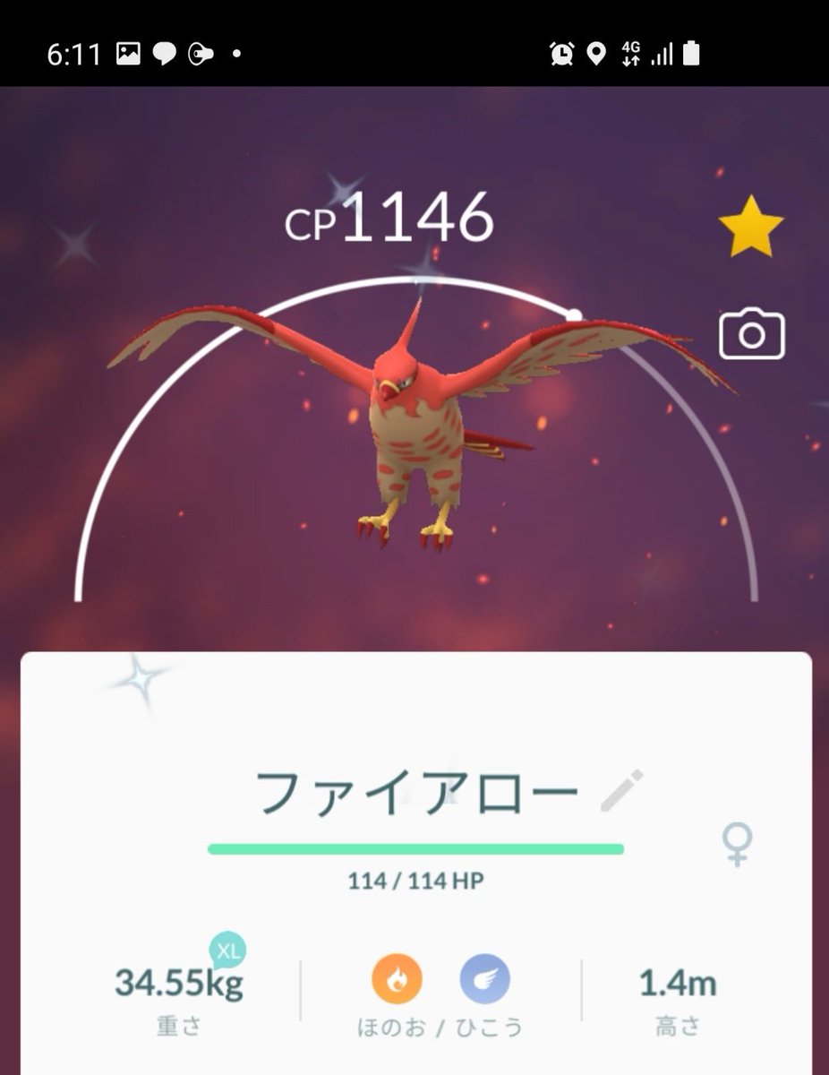 アルタリクト コミュニティディお疲れさまでした 色違いヤヤコマゲット ヒノヤコマ ファイアローに進化 ポケモンgo Pokemongo Pokemongocommunityday 色違い ヤヤコマ ヒノヤコマ ファイアロー