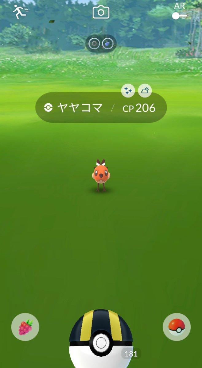 溝口 泰成 V Twitter コミュニティデイ目的で 上野公園を１時間半歩きました 色違いヤヤコマ12匹ゲット 色違い通常色ともに 個体値一番高いものを やきつくすファイアローにしました ポケモンgo コミュニティデイ ヤヤコマ 色違いポケモン T Co