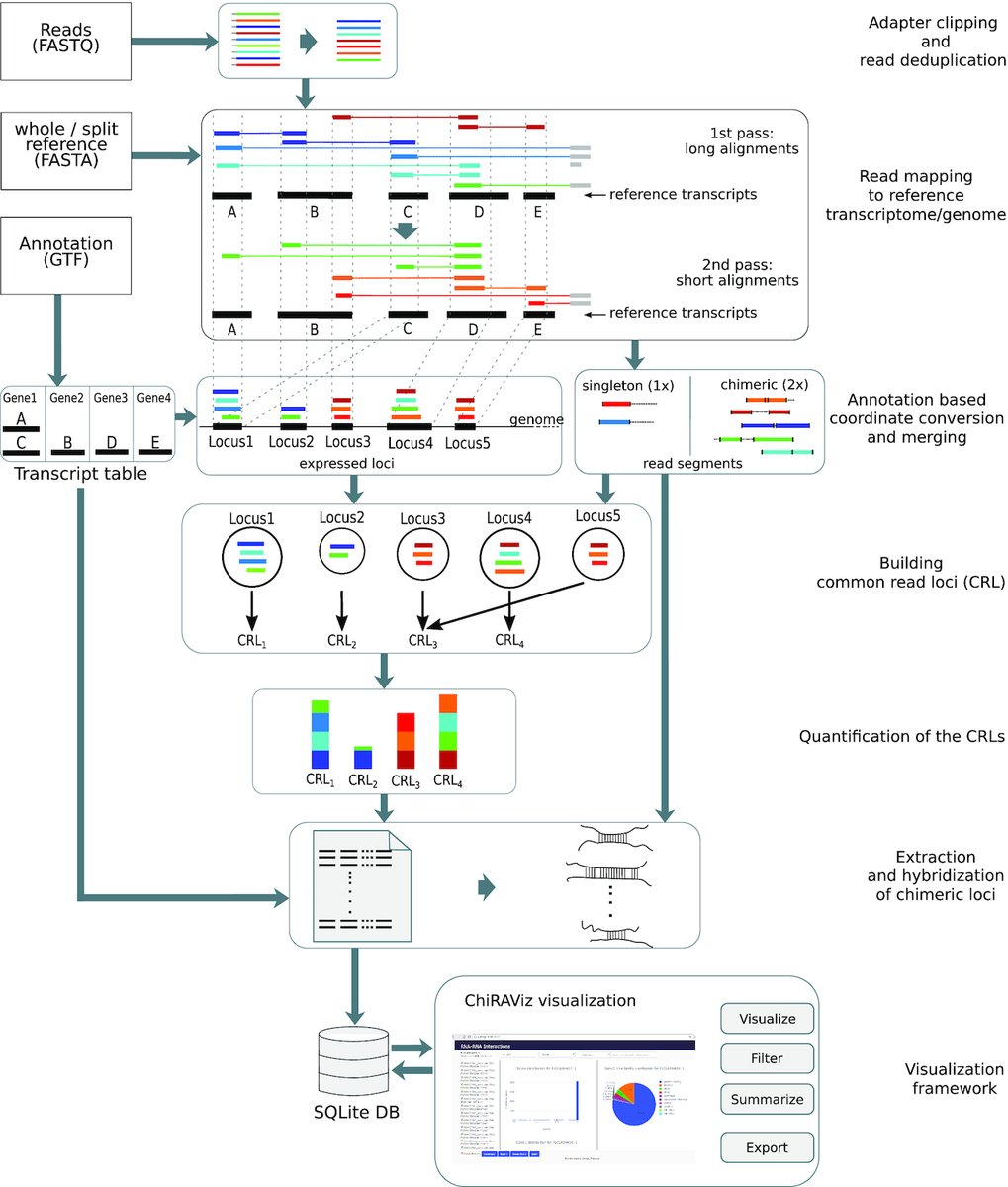 GigaScience (@gigascience) on Twitter photo A new #usegalaxy tool suite from <a href="/BackofenLab/">backofenlab</a> for chimeric RNAs associated with specific cancer types. ChiRA: an integrated framework for chimeric read analysis from RNA-RNA interactome and RNA structurome data doi.org/10.1093/gigasc… A new #usegalaxy tool suite from <a href="/BackofenLab/">backofenlab</a> for chimeric RNAs associated with specific cancer types. ChiRA: an integrated framework for chimeric read analysis from RNA-RNA interactome and RNA structurome data doi.org/10.1093/gigasc…