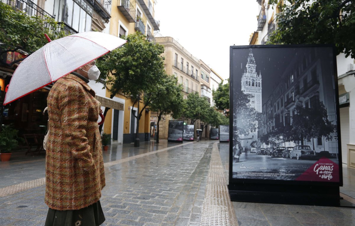 Ayto_Sevilla's tweet photo. Ya puedes pasear por la nueva #MateosGago y disfrutar de la exposición de fotografías históricas del #BarriodeSantaCruz con imágenes de los siglos XIX y XX, seleccionadas por el Archivo Municipal del ICAS.
#GanasdeVolveraVerte https://t.co/yHlUuOBr60
