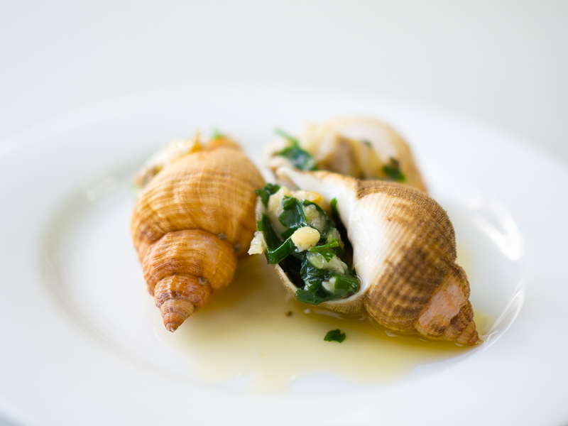 Whelks make very pretty dishes!
#whelks #shellfish #seafood #kentshellfishlady