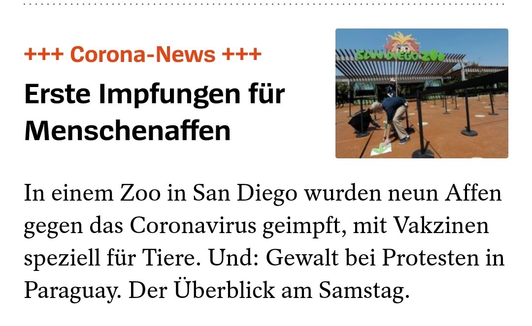 naxomat tweet media