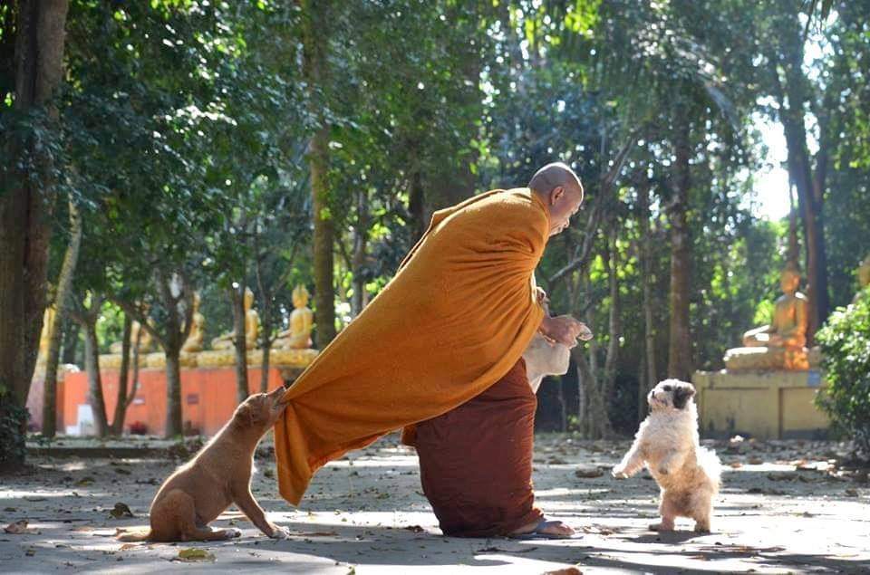 กุนึกว่าพระเต้นท่า Anti gravity lean ของไมเคิลแจ็คสัน 😂