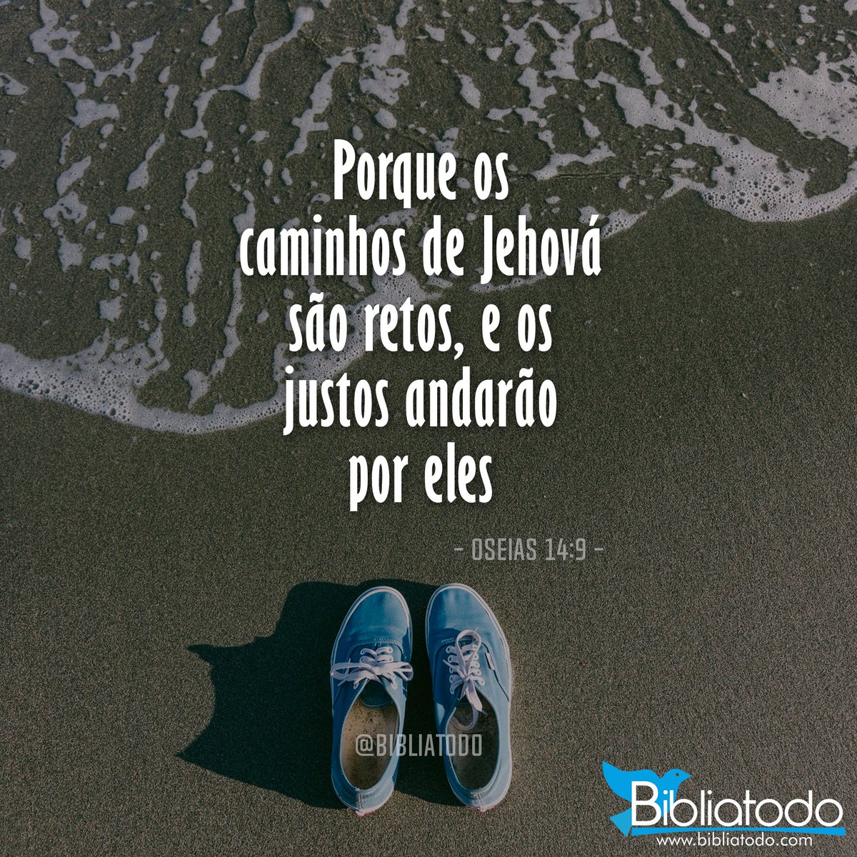 Quero andar em teus caminhos Senhor.
#rpsp
#euoroas6hs

Feliz Sábado