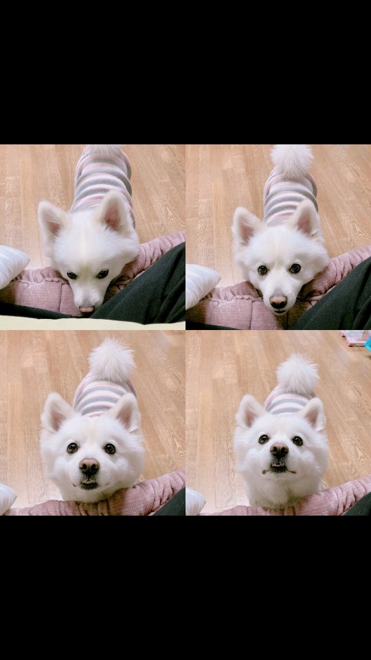 ilu_joon02's tweet photo. #happymoniesday 🎉🎈💜
#joonie #monie
#bts
@BTS_twt https://t.co/8reHVpC131
