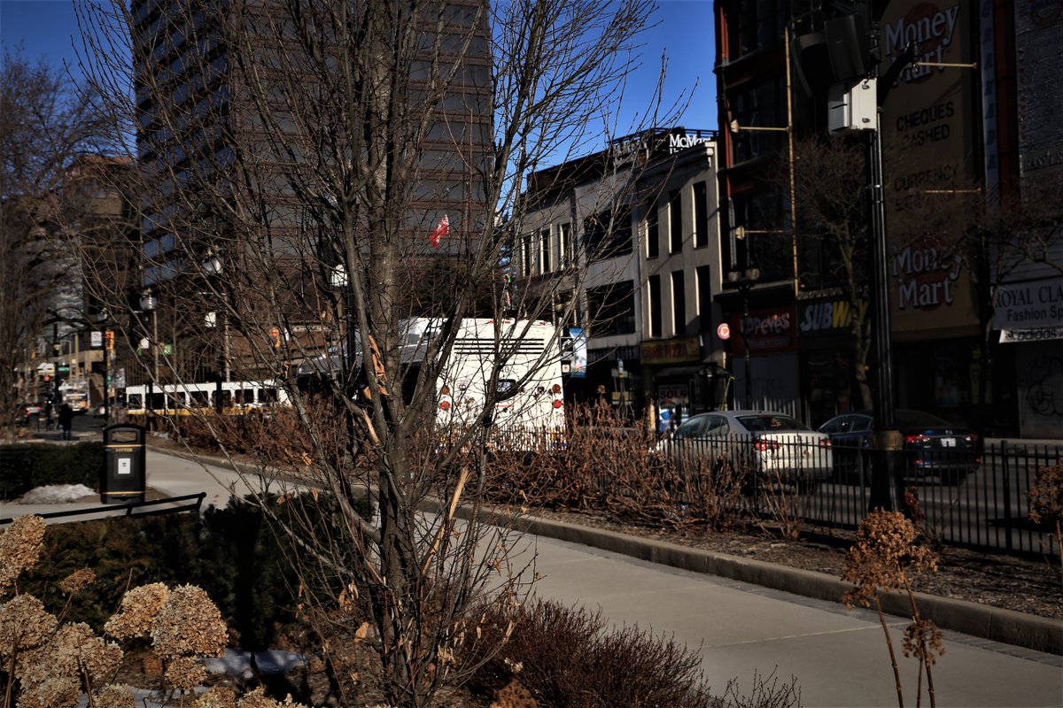 LarsonHeinonen's tweet photo. Good spring morning from beautiful Hamilton. https://t.co/2Hpx7EsIXo